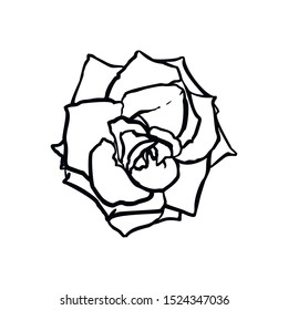 Rose Flower line drawing. Vector outline drawing art in a Trendy Minimalist Style. For the design of Logos, Invitations, posters, Postcards, prints on t-Shirts.