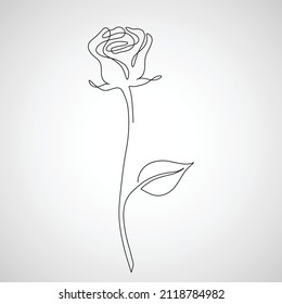 Rose flower line hand drawing on white background. Design template in trendy linear minimal style. Vector illustration.
