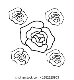 Icono de línea de flor rosa vector sobre fondo blanco