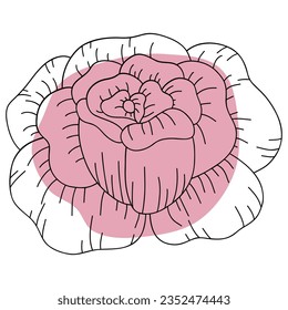 Rose flower line with shape. Vector illustration with flower theme. Suitable for wedding invitation, aesthetic decoration, social media post, banner, promotion, advertising, etc.