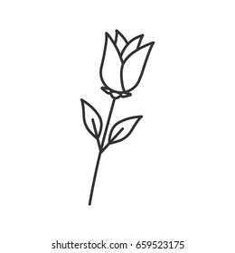 Rose flower linear icon. Blooming plant thin line illustration. Decorative flower contour symbol. Vector isolated outline drawing