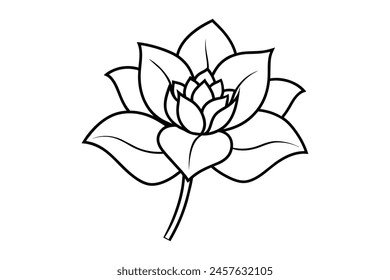 rose flower lineart vector design