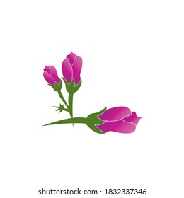 Rose flower logo template vector icon illustration