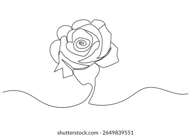 Rose flower minimalist style illustration vector design