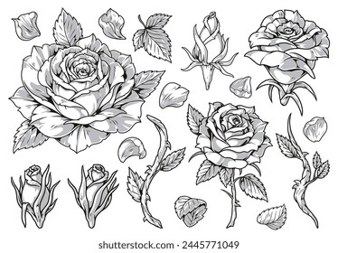 Rose flower monochrome set emblems with open and closed buds near petals and stems in different positions vector illustration