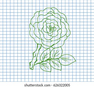 Rose flower on copybook background. Free hand drawn. Vector illustration. 