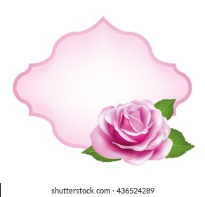 Rose flower on label. Vector rose with leaves. Decorative label with rose.