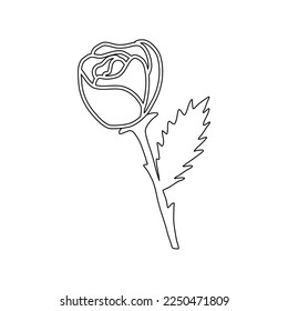 Rose flower on stem with leaf, flat vector outline for kids coloring book