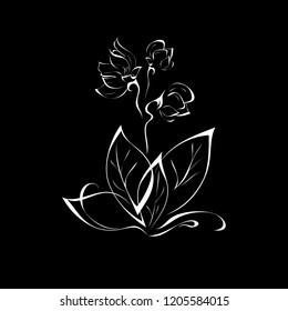 rose flower on stem with leaves in white lines on black background