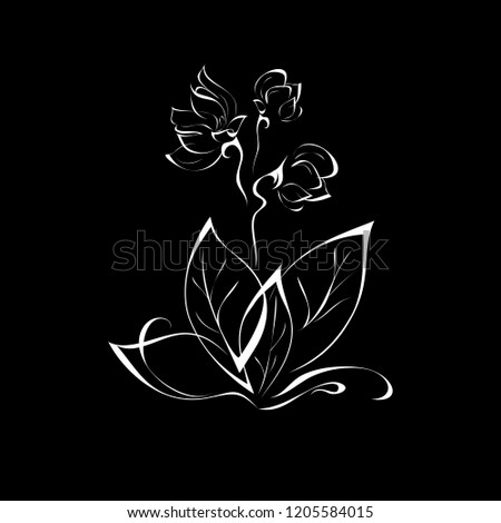 rose flower on stem with leaves in white lines on black background