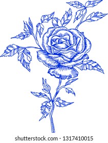 Rose flower on white background. Graphics, vector, silhouette, outline, sketch, vintage. For printing, textiles, tableware, fashion, design, postcards, decor. Handmade.