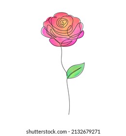 Rose flower on white background. Line art style.