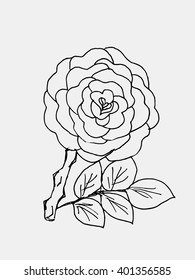 Rose flower on white background. Free hand drawn. Vector illustration. 