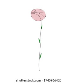 Rose flower one line drawing, vector illustration