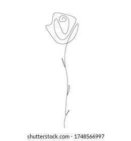 Rose flower one line drawing, vector illustration