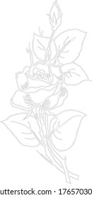 Rose flower one line vector minimalism drawing style