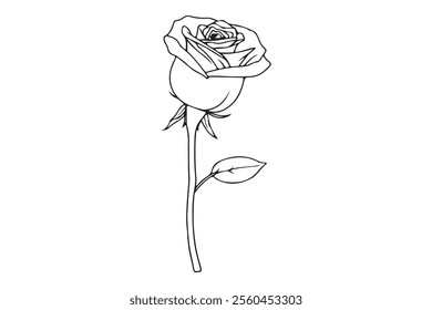 Rose Flower Outline Art ,This is a editable file 