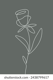 Rose Flower Outline Background Vector Illustration
