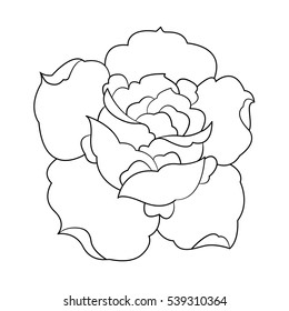 Rose flower, outline drawing