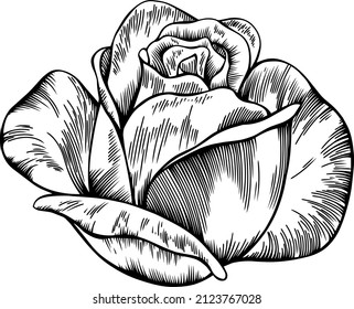 Vector de contorno de flor rosa. Dibujado a mano.