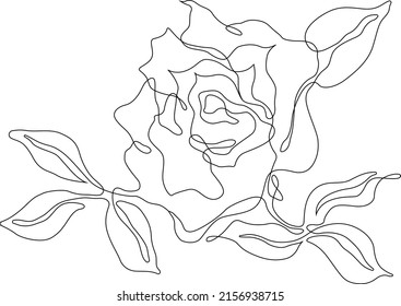 Vector de contorno de flor rosa. Juego de bocetos dibujados a mano. Dibujo de tinta de línea. Eps 10