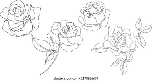 Rose flower outline vector. Set of hand drawn sketches. Line Ink drawing. Eps 10