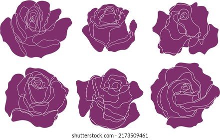 Rose flower outline vector. Set of hand drawn sketches. Line Ink drawing.