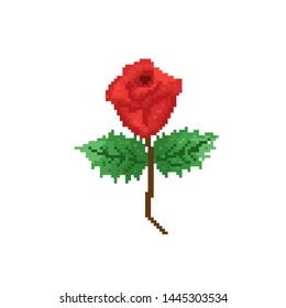 rose flower with pixel art. Pixel art style. EPS 10