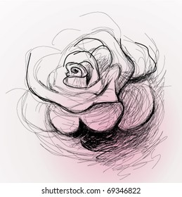 Rose flower / realistic sketch (not auto-traced)