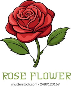 Rose , Rose Flower, Flower, Red Flower