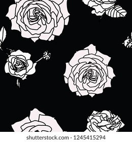 Rose flower set of blooming plant. Garden rose isolated icon of white blossom, petals.