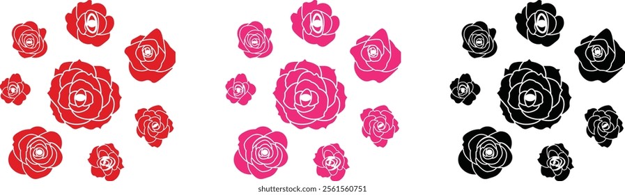 Rose flower set of blooming plant. Garden rose isolated icon of red, pink and black petal for romantic floral decoration, wedding bouquet and valentine greeting card flat and line vector collection.