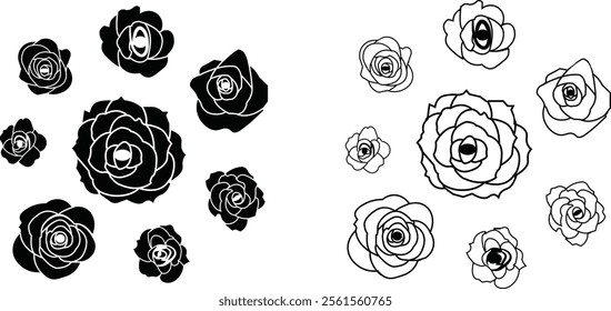 Rose flower set of blooming plant. Garden rose isolated icon of black petal for romantic floral decoration, wedding bouquet and valentine greeting card flat and line vector collection.