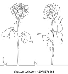 Rose flower set. Continuous drawing. Line art concept design.