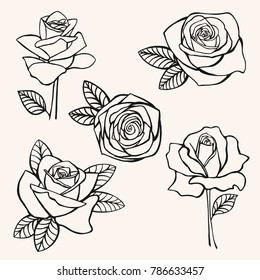 rose, flower, set, hand-drawing vector illustration sketch 