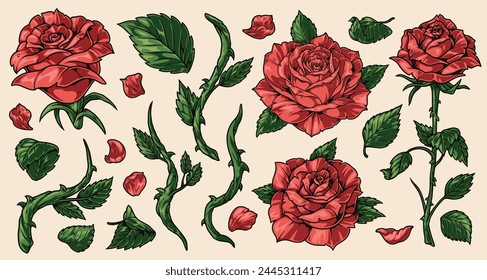 Rose flower set stickers colorful with elegant spring plant from florist shop and prickly stems near petals vector illustration