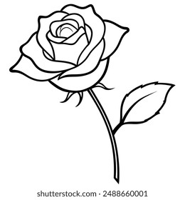 Rose flower silhouette with white background