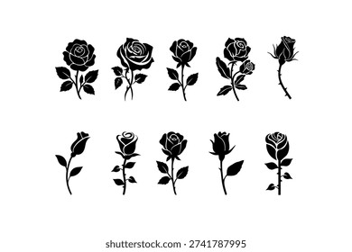 Rose flower silhouettes isolated for romantic and decorative floral concepts.
