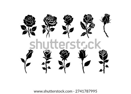 Rose flower silhouettes isolated for romantic and decorative floral concepts.