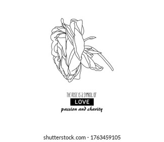 Rose flower. single element vector EPS. Outline flower head Bud in contour lines drawn by hand. The concept of wedding. Symbol of love, passion and charity. Vector scheme for tattoo design, packaging