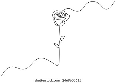 Rose flower single line art, continuous one line drawing of  Isolated outline vector art black white background 