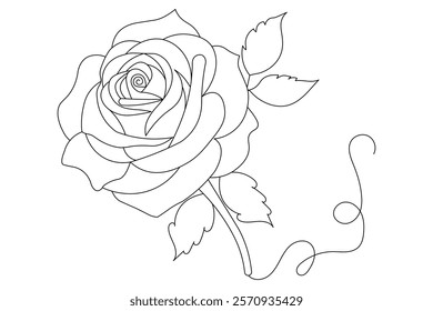 Rose flower single line art and design isolated outline minimalist outline vector icon 