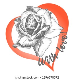Rose flower sketch in engraving style and red heart on white.Vintage vector illustration valentines day card. Love background. Typography design. Lettering text With love