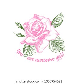 Rose flower sketch in engraving style on white background. Pink and green color. Vintage vector illustration, t-shirt print. Love background. Typography design. Lettering text You are awesome girl