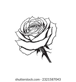 diseño vectorial de boceto de flores de rosa