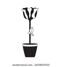 Rose Flower Solid Fill Illustration	