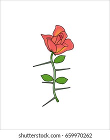 Rose flower with spikes. Vector colored isolated on white background