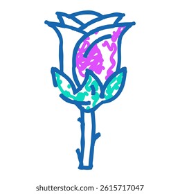 rose flower spring doodle icon sketch vector. rose flower spring sign. isolated symbol illustration