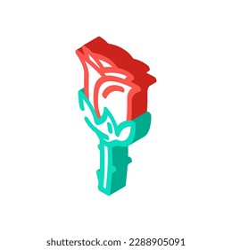 vector de ícono isométrico del resorte de flores de rosa. signo de primavera de flor rosa. ilustración de símbolo aislado