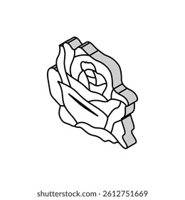 rose flower spring isometric icon vector. rose flower spring sign. isolated symbol illustration